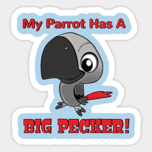 My African Grey Parrot has a Big Pecker Sticker